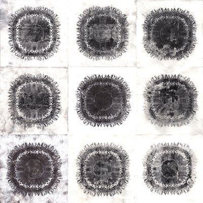 Plant Cells, 2019 (trawienie suchej temperatury) autorstwa Charlotte Orr