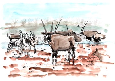Safari, 2018 (tusz i akwarela) autorstwa Charlotte Orr