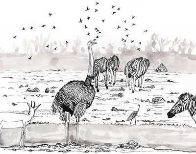 Safari 2, 2018 (tusz i akwarela) autorstwa Charlotte Orr