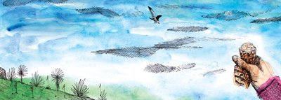 Opowieść mewy, 2020 (akwarela i długopis) autorstwa Charlotte Orr