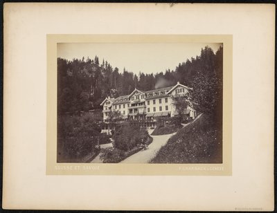 Hotel du Giessbach autorstwa Charnaux Frères and Cie.