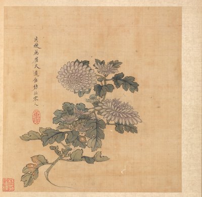 Obrazy według starożytnych mistrzów: Chryzantema, 1598-1652. autorstwa Chen Hongshou