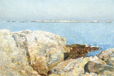Wyspa Kaczki autorstwa Childe Frederick Hassam
