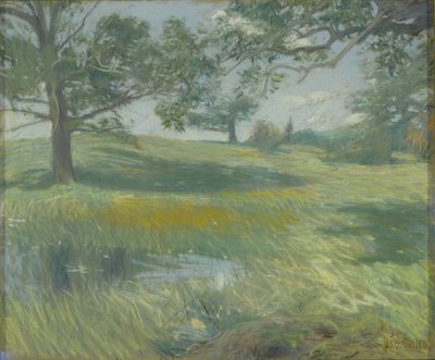Łąki, ok. 1900-10 (pastel na płótnie) autorstwa Childe Frederick Hassam