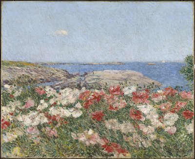 Maki na Wyspach Shoals autorstwa Childe Frederick Hassam