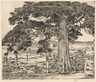 Wielki Cedr, Wainscott, L. I., 1929 autorstwa Childe Hassam
