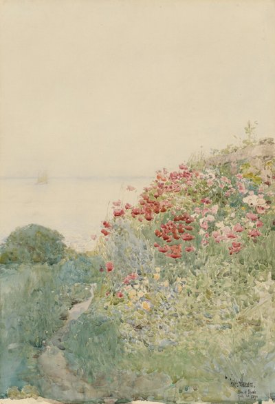 Pole Maków, Wyspy Ławicy autorstwa Childe Hassam