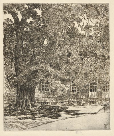 Wiąz olbrzymi, 1929 autorstwa Childe Hassam