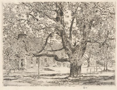 Kasztanowiec, Easthampton autorstwa Childe Hassam