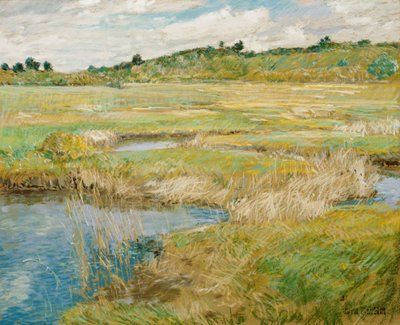 Łąka w Concord autorstwa Childe Hassam