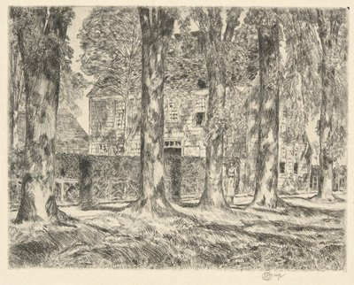 Wiejskie wiązy, 1923 autorstwa Childe Hassam