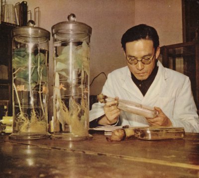Chiński chemik rolny z Changchun Research Institute Chińskiej Republiki Ludowej, lata 50. XX w autorstwa Chinese Photographer