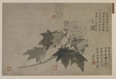 Gałąź piwonii drzewnej, prawdopodobnie dynastia Qing (atrament na papierze) autorstwa Chinese School