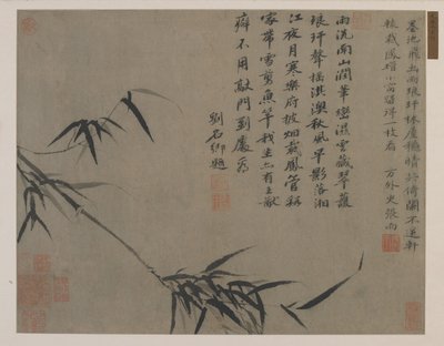 Mgiełka bambusa, prawdopodobnie dynastia Qing (atrament na papierze) autorstwa Chinese School