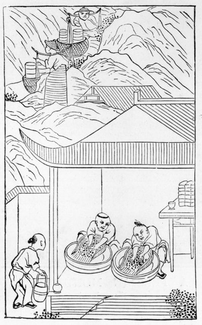 Zbieranie i mycie niebieskiej emalii do barwienia, z serii ilustracji dotyczących produkcji porcelany (patrz 384116 i 384117 dla całej serii) autorstwa Chinese School