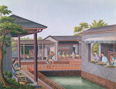 Klasyfikacja herbaty (wc na papierze) autorstwa Chinese School