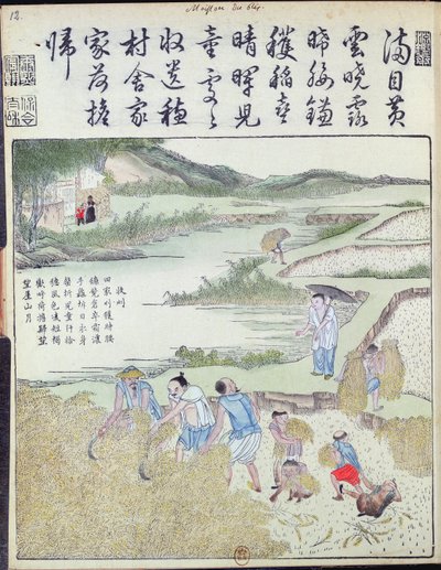 Harvest, The Rice Culture in China (kolorowy drzeworyt) autorstwa Chinese School