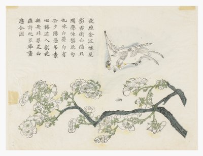 Ogród z nasion gorczycy autorstwa Chinese School