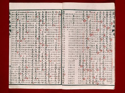 Strona z Księgi Poezji Chuang-Tzu (tusz na papierze) autorstwa Chinese School