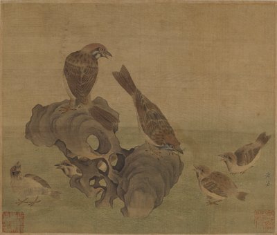 Wróble karmiące swoje młode, dynastia Ming lub Qing autorstwa Chinese School