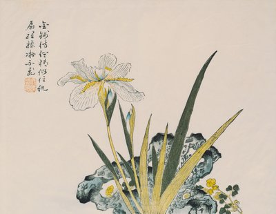 Ogród wielki jak ziarno gorczycy, XVII-XVIII w. autorstwa Chinese School