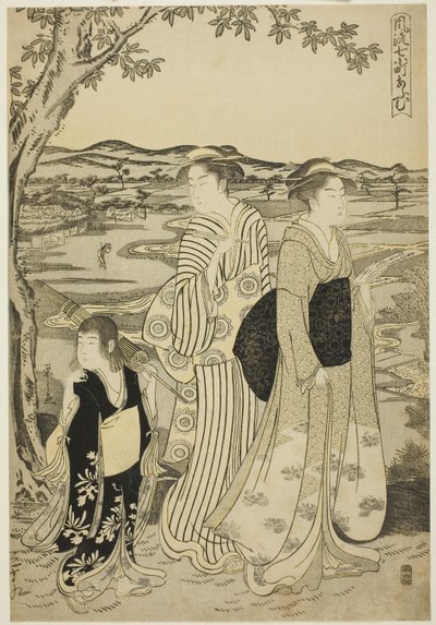 Papuga Komachi, z serii Modnych siedmiu Komachi (Furyu nana Komachi), ok. 1788 (kolorowy drzeworyt; Oban) autorstwa Chobunsai Eishi