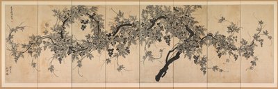 Winorośl autorstwa Choe Seok hwan