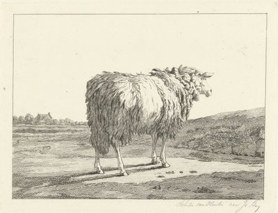 Owce w krajobrazie autorstwa Christiaan Godfried Schutze van Houten