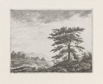 Drzewo w krajobrazie wrzosowisk autorstwa Christiaan Wilhelmus Moorrees
