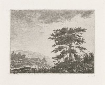 Drzewo w krajobrazie wrzosowisk autorstwa Christiaan Wilhelmus Moorrees