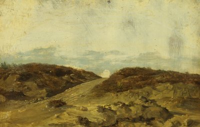 Tor wrzosowy autorstwa Christian Ernst Bernhard Morgenstern