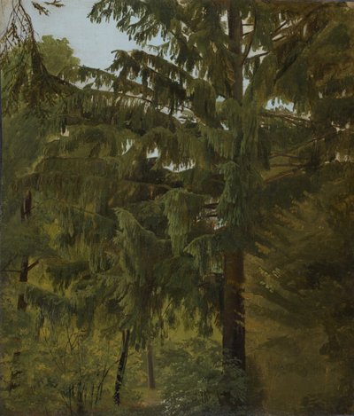 Jodła w lesie liściastym autorstwa Christian Friedrich Gille
