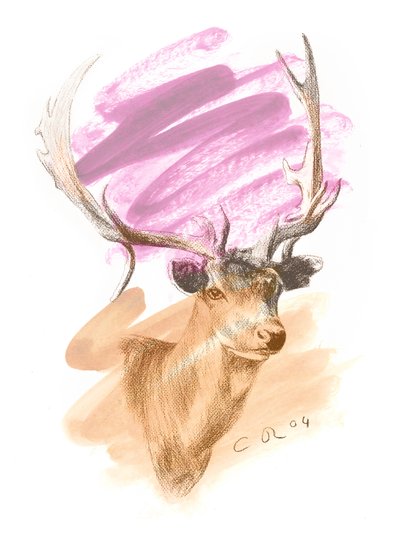Głowa jelenia - Cerise Sienna, 2004 (olej i conte na papierze) autorstwa Christian Furr