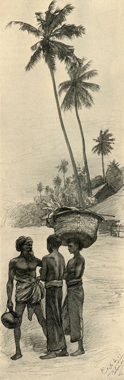 Grupa mężczyzn, Kolombo, Cejlon, 1898 r. autorstwa Christian Wilhelm Allers