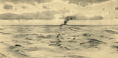 Parowiec na Oceanie Indyjskim, 1898. autorstwa Christian Wilhelm Allers