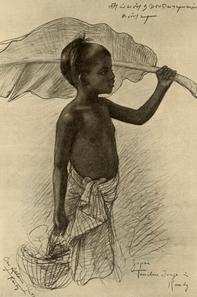 Tamilski chłopiec, Kandy, Cejlon, 1898. autorstwa Christian Wilhelm Allers