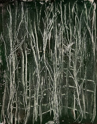  autorstwa Christina Misuro