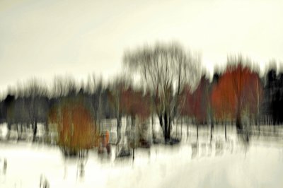 Abstrakcyjny zimowy las autorstwa Christina Sillen