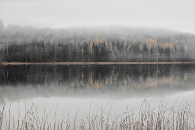 Mgliste jesienne jezioro autorstwa Christina Sillen