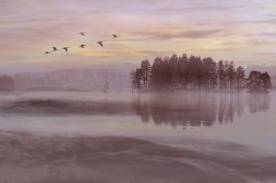 Lot ptaków nad Misty Lake autorstwa Christina Sillen