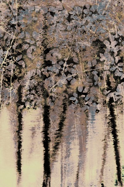 Refleksje z lasu Moody autorstwa Christina Sillen
