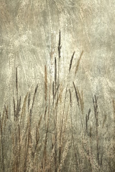  autorstwa Christina Sillen