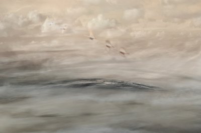 Silver Haze autorstwa Christina Sillen