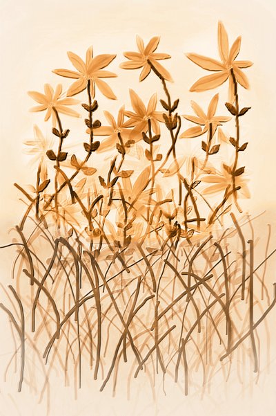 Ciepła sepia w botanice autorstwa Christina Sillen