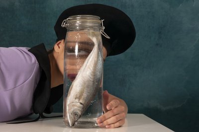 Surrealistyczne spojrzenie ryby autorstwa Christine von Diepenbroek