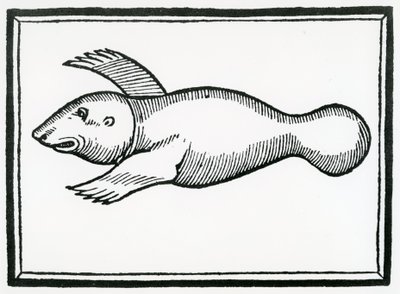 Ryba zwana „Manati” z „Ogólnej historii Indii” 1547 autorstwa Christopher Columbus