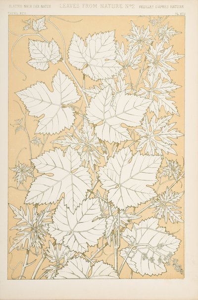 Liście z natury, 1868 (chromolitho) autorstwa Christopher Dresser