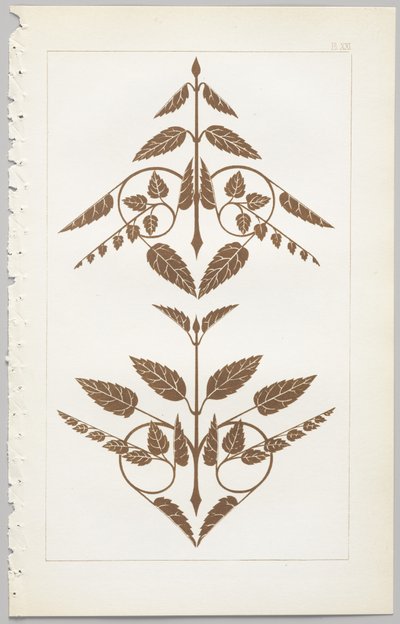 Sztuka projektowania dekoracyjnego : z dodatkiem, podającym godziny otwarcia kwiatów, wyd. Day & Son, Londyn, 1862 autorstwa Christopher Dresser