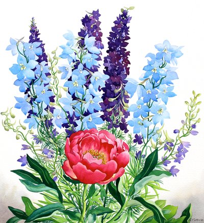 Niebieskie Delphinium autorstwa Christopher Ryland