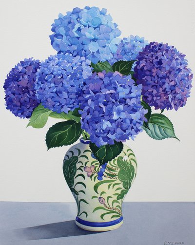 Niebieskie Hortensje (akwarela na papierze) autorstwa Christopher Ryland